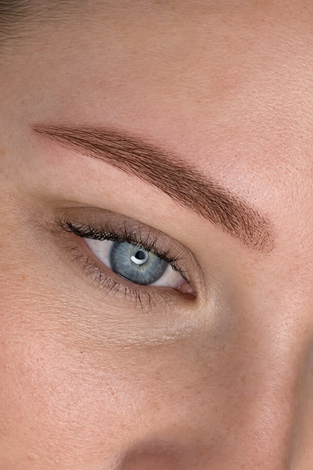 Nærbilde av Powder Brows